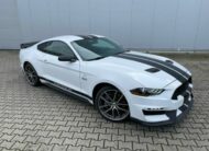 Ford Mustang 5.0 V8 GT Performance  10Gang
