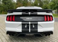 Ford Mustang 5.0 V8 GT Performance  10Gang