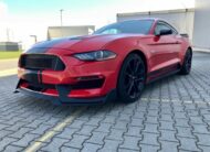 Ford Mustang 5.0 V8 GT Performance