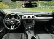 Ford Mustang 5.0 V8 GT Performance  10Gang