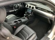 Ford Mustang 5.0 V8 GT Shelby Style