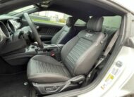 Ford Mustang 5.0 V8 GT Performance  10Gang