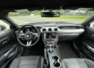 Ford Mustang 5.0 V8 GT Performance