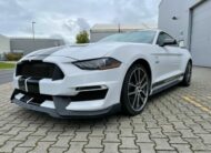 Ford Mustang 5.0 V8 GT Performance  10Gang