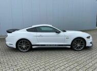 Ford Mustang 5.0 V8 GT Performance  10Gang
