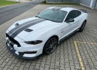 Ford Mustang 5.0 V8 GT Performance  10Gang