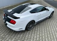 Ford Mustang 5.0 V8 GT Performance  10Gang