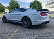 Ford Mustang 5.0 V8 GT Performance 10 rychlostí