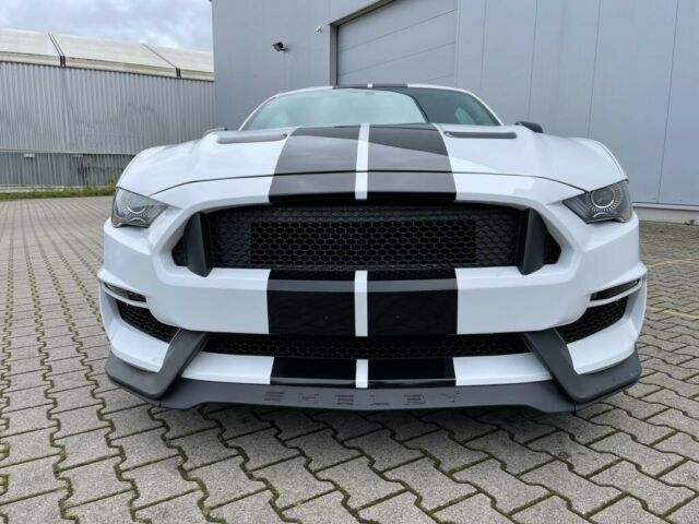 Ford Mustang 5.0 V8 GT Performance  10Gang
