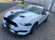 Ford Mustang 5.0 V8 GT Performance 10 rychlostí