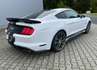 Ford Mustang 5.0 V8 GT Performance  10Gang