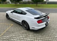 Ford Mustang 5.0 V8 GT Performance  10Gang