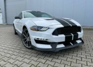 Ford Mustang 5.0 V8 GT Performance  10Gang