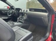 Ford Mustang Convertible 5.0 V8 GT GPS kožená xenony