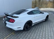 Ford Mustang 5.0 V8 GT Performance Brembo Navi kůže