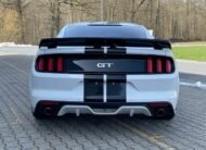 Ford Mustang 5.0 V8 GT Performance Brembo Navi kůže