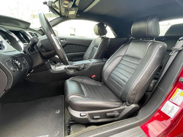 Ford Mustang 3.7 Convertible Automatic Xenon Shaker Premier