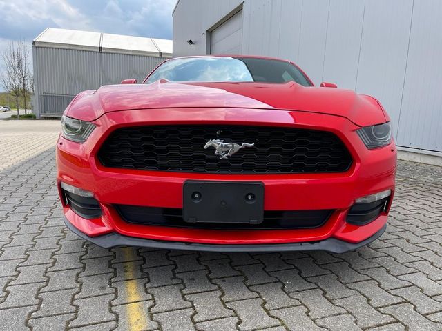 Automat xenony Ford Mustang 3.7