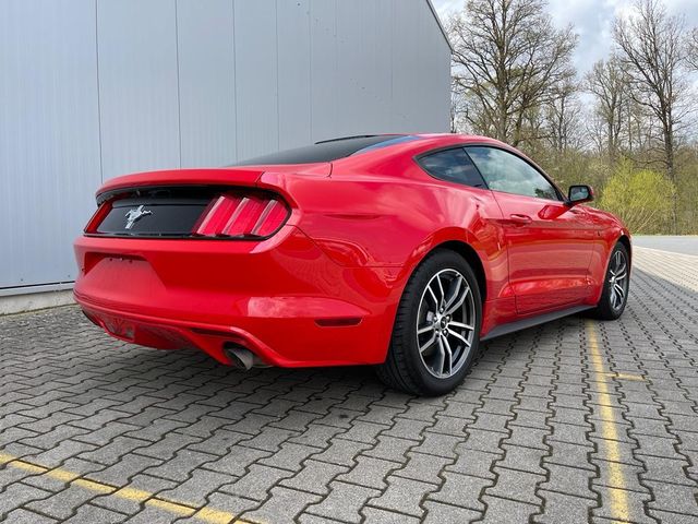 Automat xenony Ford Mustang 3.7
