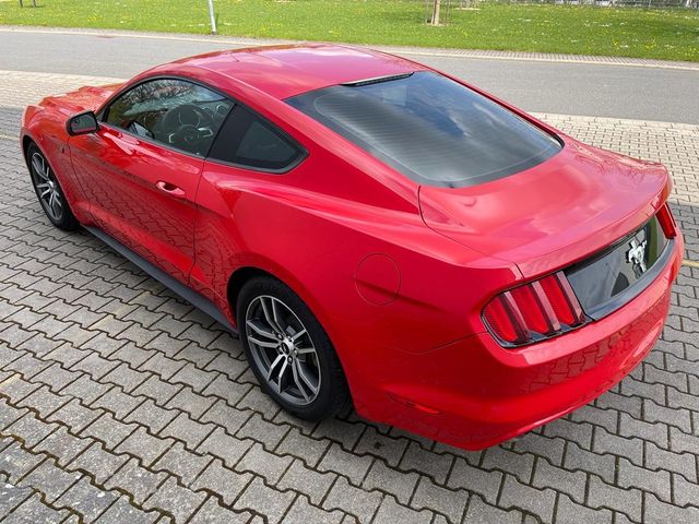 Automat xenony Ford Mustang 3.7