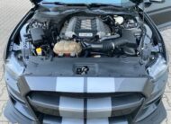 Ford Mustang 5.0 V8 GT 50 Year Edition Performance