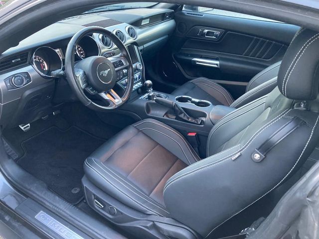 Ford Mustang 5.0 V8 GT 50 Year Edition Performance