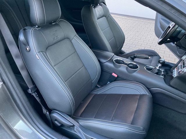 Ford Mustang 5.0 V8 GT 50 Year Edition Performance
