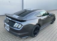 Ford Mustang 5.0 V8 GT 50 Year Edition Performance
