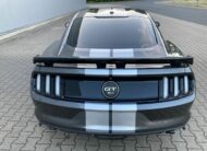 Ford Mustang 5.0 V8 GT 50 Year Edition Performance