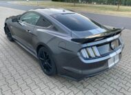 Ford Mustang 5.0 V8 GT 50 Year Edition Performance